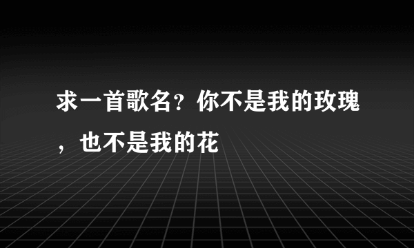 求一首歌名？你不是我的玫瑰，也不是我的花