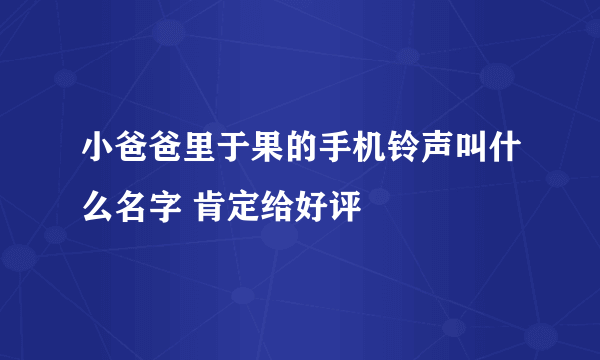 小爸爸里于果的手机铃声叫什么名字 肯定给好评