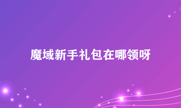 魔域新手礼包在哪领呀