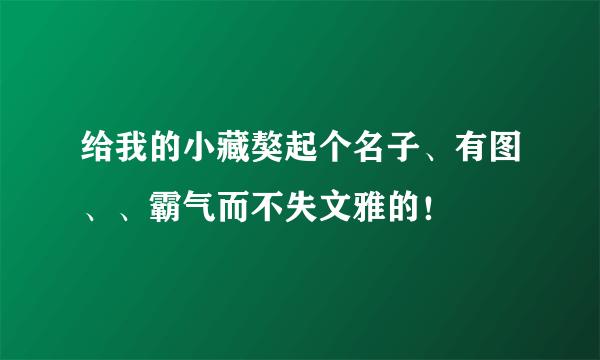 给我的小藏獒起个名子、有图、、霸气而不失文雅的！