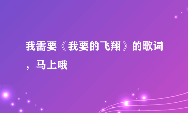 我需要《我要的飞翔》的歌词，马上哦