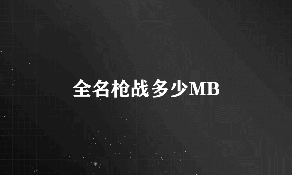 全名枪战多少MB