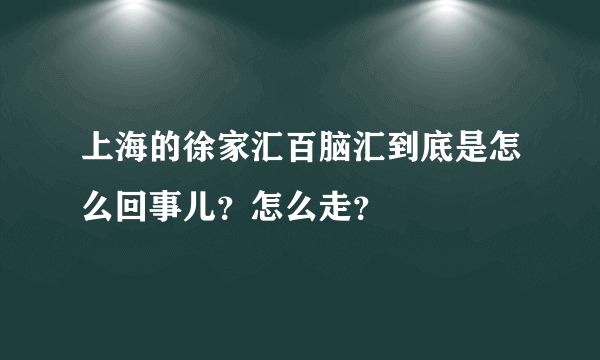 上海的徐家汇百脑汇到底是怎么回事儿？怎么走？