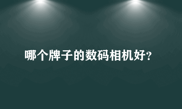 哪个牌子的数码相机好？