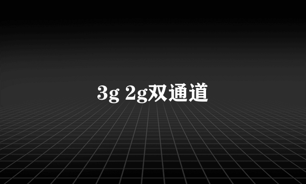 3g 2g双通道