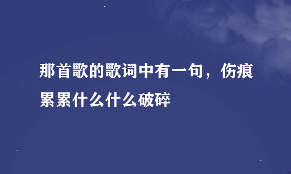 那首歌的歌词中有一句，伤痕累累什么什么破碎