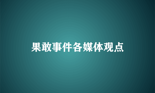 果敢事件各媒体观点