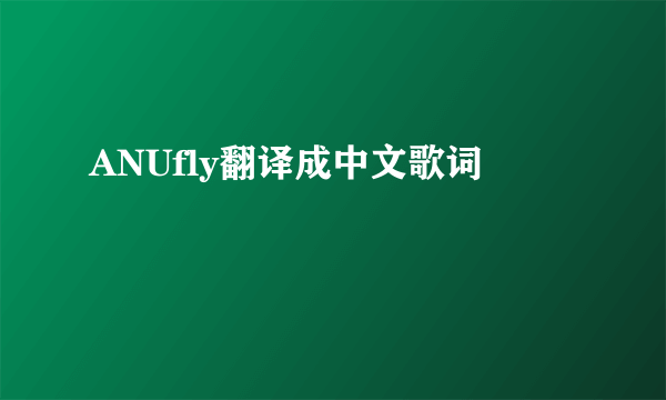 ANUfly翻译成中文歌词