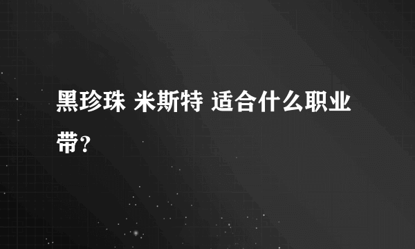 黑珍珠 米斯特 适合什么职业带？