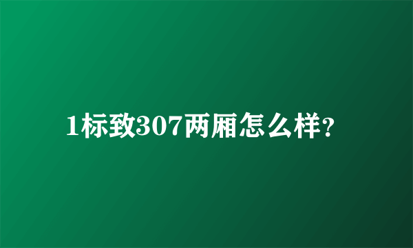 1标致307两厢怎么样？