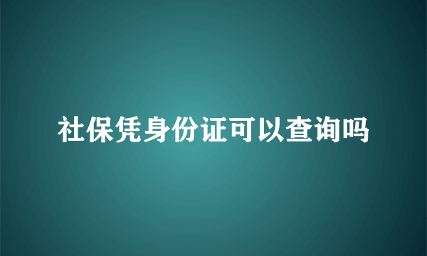 社保凭身份证可以查询吗