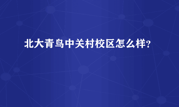 北大青鸟中关村校区怎么样？