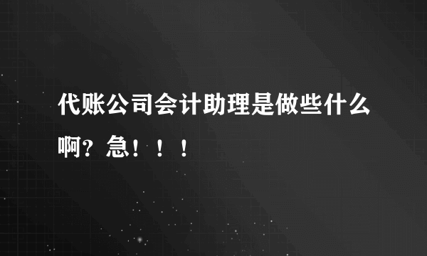 代账公司会计助理是做些什么啊？急！！！