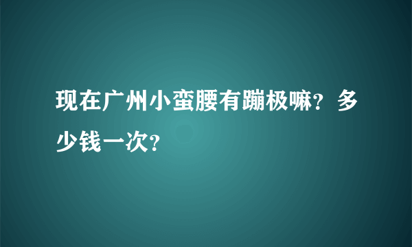 现在广州小蛮腰有蹦极嘛？多少钱一次？