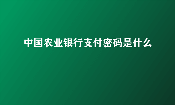 中国农业银行支付密码是什么