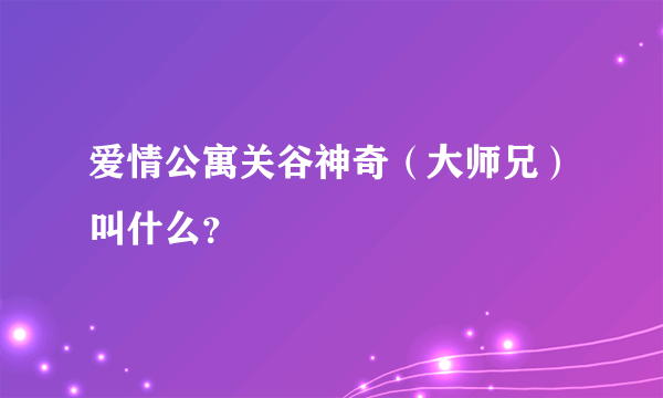 爱情公寓关谷神奇（大师兄）叫什么？