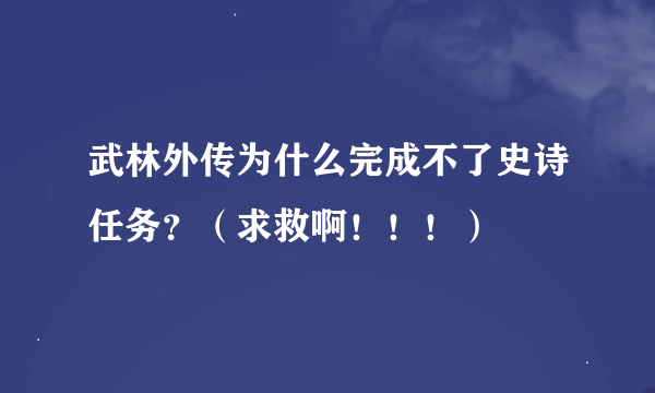 武林外传为什么完成不了史诗任务？（求救啊！！！）