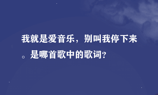 我就是爱音乐，别叫我停下来。是哪首歌中的歌词？