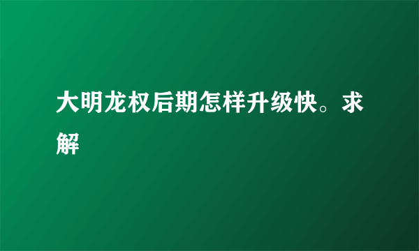 大明龙权后期怎样升级快。求解