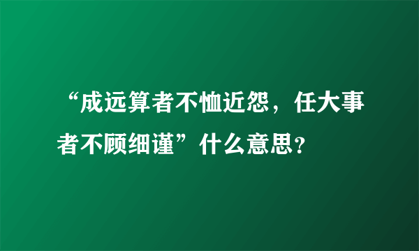 “成远算者不恤近怨，任大事者不顾细谨”什么意思？