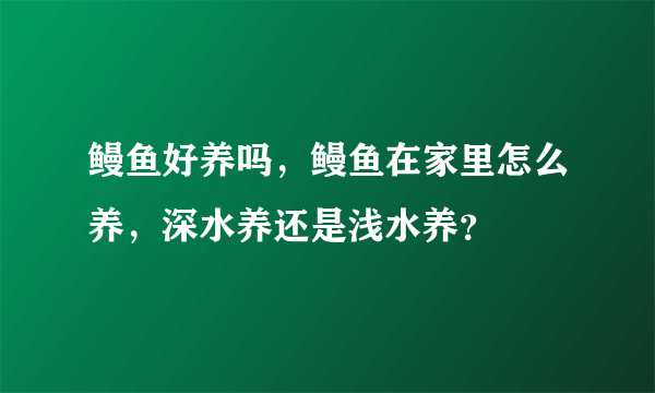 鳗鱼好养吗，鳗鱼在家里怎么养，深水养还是浅水养？