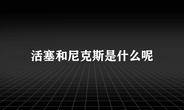 活塞和尼克斯是什么呢