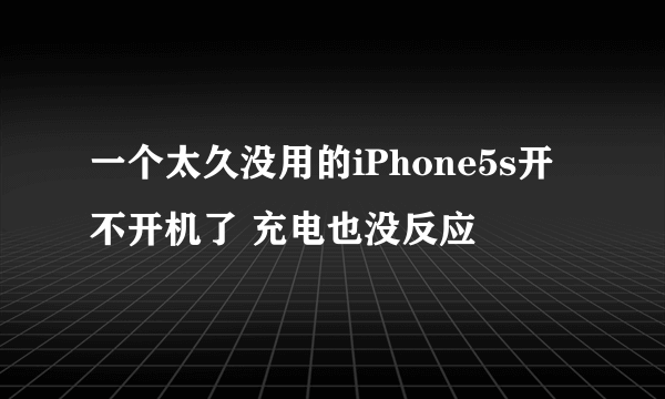 一个太久没用的iPhone5s开不开机了 充电也没反应