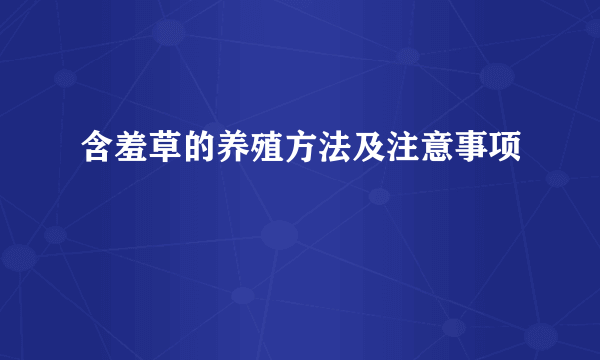 含羞草的养殖方法及注意事项