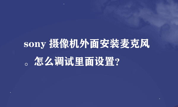 sony 摄像机外面安装麦克风。怎么调试里面设置？