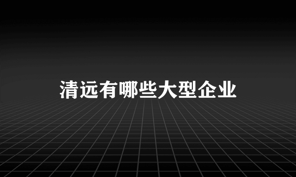 清远有哪些大型企业