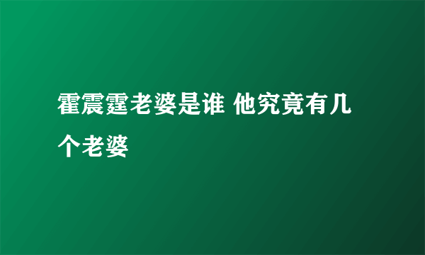 霍震霆老婆是谁 他究竟有几个老婆