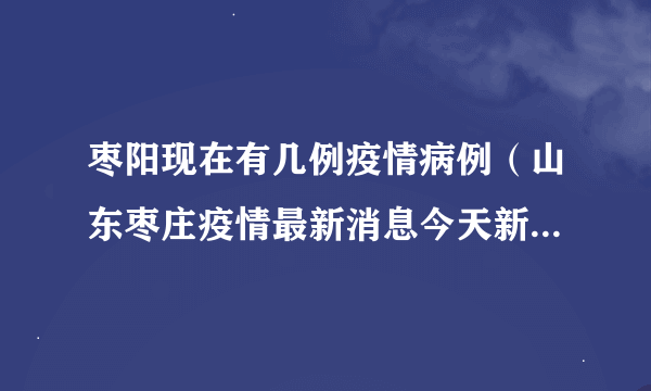 枣阳现在有几例疫情病例（山东枣庄疫情最新消息今天新增病例）