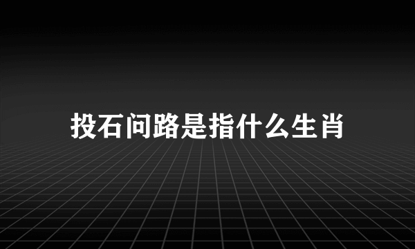 投石问路是指什么生肖