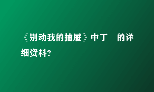 《别动我的抽屉》中丁玥的详细资料？