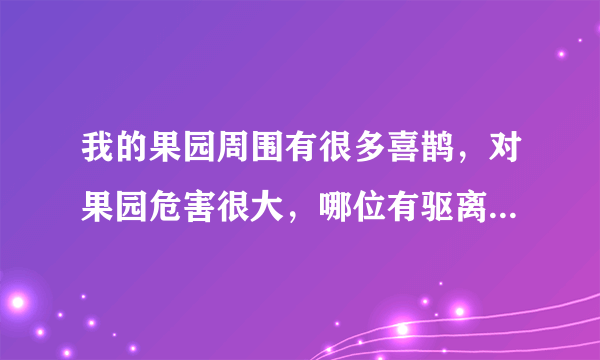 我的果园周围有很多喜鹊，对果园危害很大，哪位有驱离妙招？谢谢！