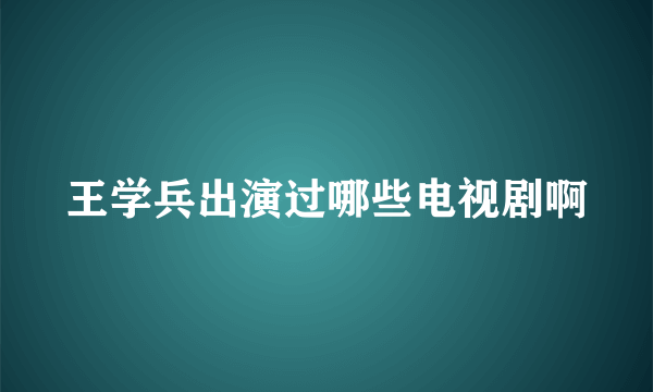 王学兵出演过哪些电视剧啊