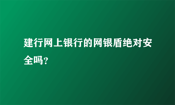 建行网上银行的网银盾绝对安全吗？