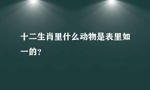 十二生肖里什么动物是表里如一的？