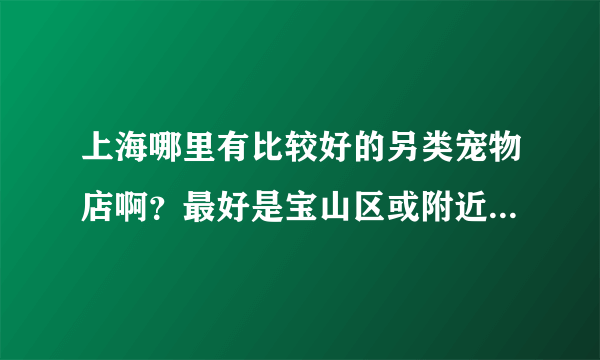 上海哪里有比较好的另类宠物店啊？最好是宝山区或附近区县的，谢谢！