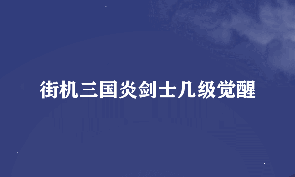 街机三国炎剑士几级觉醒