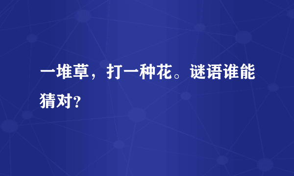 一堆草，打一种花。谜语谁能猜对？