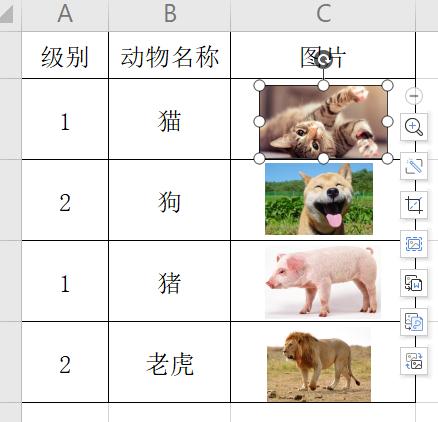 WPS 表格里刷选数据的时候 表格添加的图片顺序会错乱，请问该怎么解决？