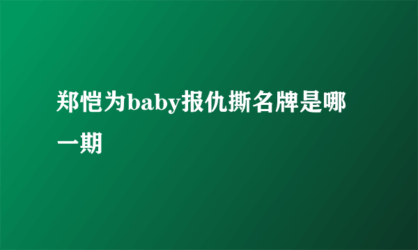 郑恺为baby报仇撕名牌是哪一期