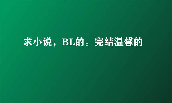 求小说，BL的。完结温馨的