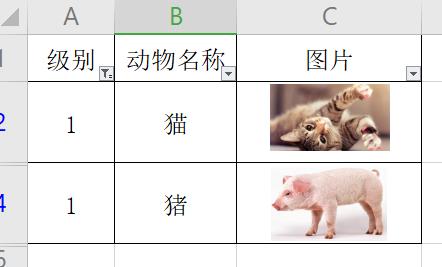 WPS 表格里刷选数据的时候 表格添加的图片顺序会错乱，请问该怎么解决？