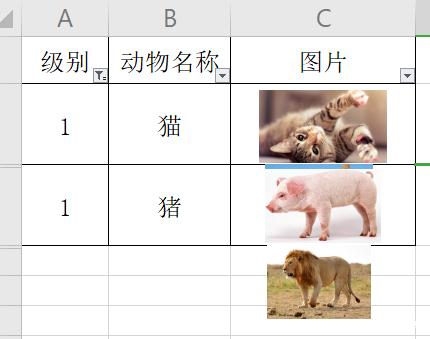 WPS 表格里刷选数据的时候 表格添加的图片顺序会错乱，请问该怎么解决？