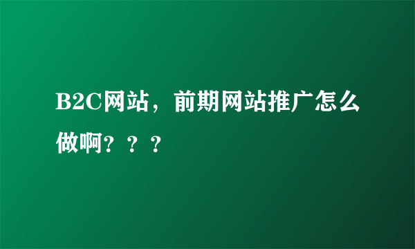 B2C网站，前期网站推广怎么做啊？？？