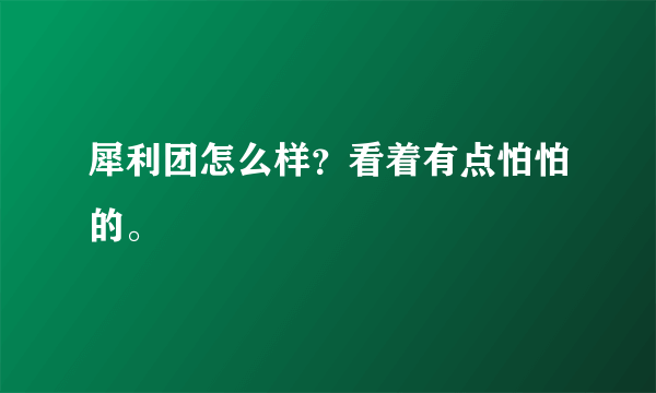 犀利团怎么样？看着有点怕怕的。