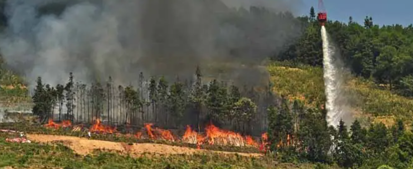 重庆涪陵区南川区山火明火已全部扑灭！这起火灾是意外还是人为？