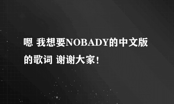 嗯 我想要NOBADY的中文版的歌词 谢谢大家！